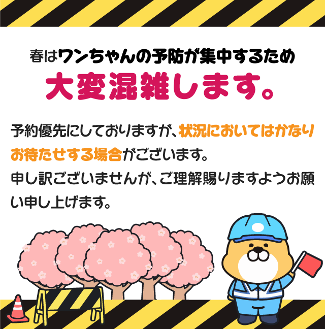 春はワンちゃんの予防が集中するため大変混雑します。｜予約優先にしておりますが、状況においてはかなりお待たせする場合がございます。申し訳ございませんが、ご理解賜りますようお願い申し上げます。