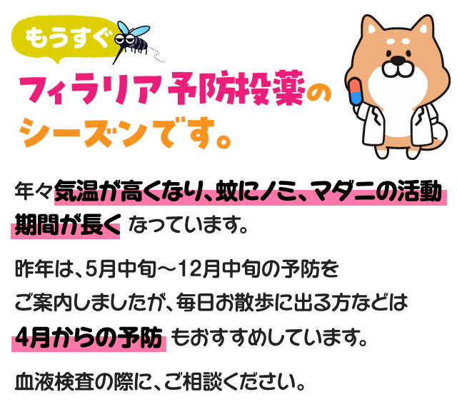 もうすぐフィラリア予防投薬のシーズンです。｜年々気温が高くなり、蚊にノミ、マダニの活動期間が長く なっています。昨年は、5月中旬〜12月中旬の予防をご案内しましたが、毎日お散歩に出る方などは4月からの予防もおすすめしています。血液検査の際に、ご相談ください。